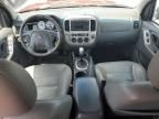 2006 Ford Escape XLT