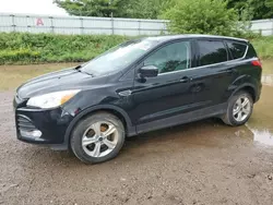 Ford salvage cars for sale: 2016 Ford Escape SE