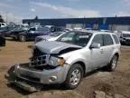 2010 Ford Escape Limited