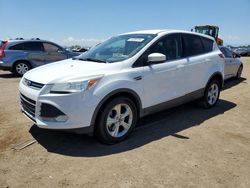 Salvage cars for sale at Brighton, CO auction: 2015 Ford Escape SE