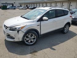 Salvage cars for sale at Louisville, KY auction: 2014 Ford Escape Titanium