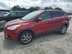 Salvage cars for sale at Loganville, GA auction: 2014 Ford Escape SE