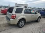 2010 Ford Escape Limited