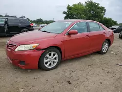 Toyota salvage cars for sale: 2010 Toyota Camry Base