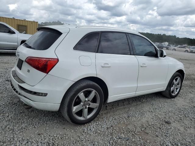 2010 Audi Q5 Premium Plus