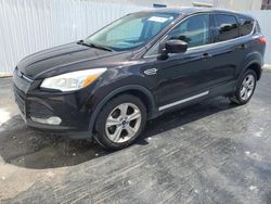 Salvage cars for sale from Copart Opa Locka, FL: 2013 Ford Escape SE