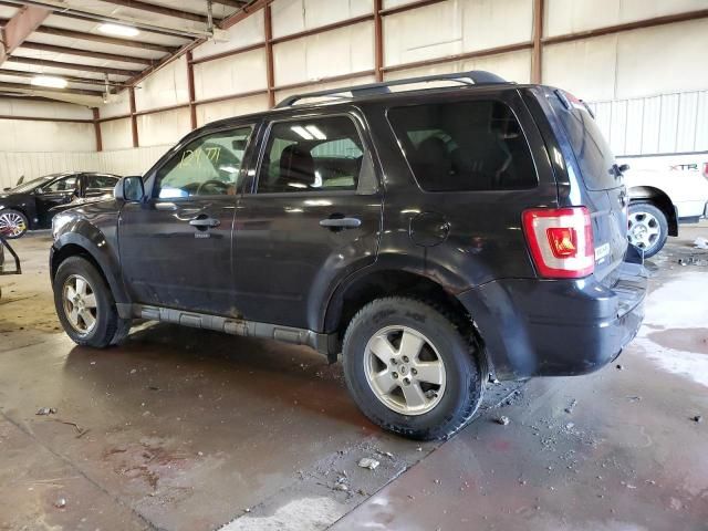 2011 Ford Escape XLT