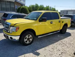 Salvage trucks for sale at North Billerica, MA auction: 2013 Ford F150 Supercrew