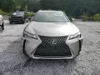 2019 Lexus UX 200