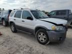 2005 Ford Escape XLT