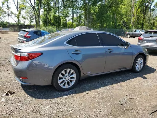 2013 Lexus ES 300H