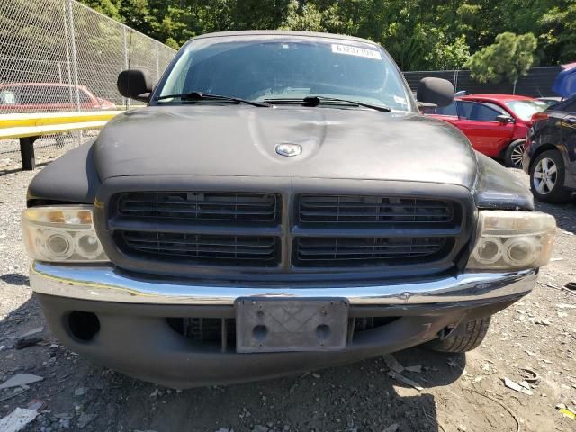 1998 Dodge Dakota