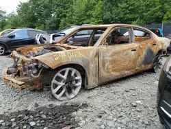 Salvage cars for sale at Waldorf, MD auction: 2023 Dodge Charger R/T