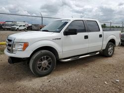 Ford salvage cars for sale: 2013 Ford F150 Supercrew