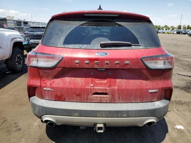 2020 Ford Escape SEL