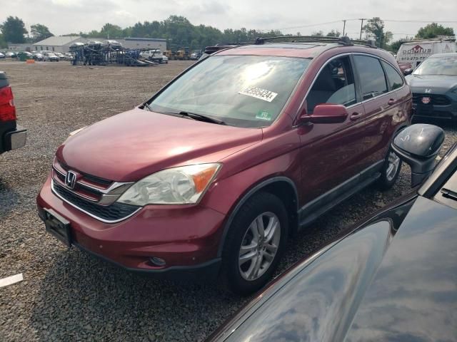 2010 Honda CR-V EXL