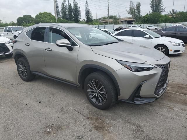 2024 Lexus NX 250 Base