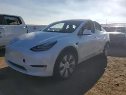 2022 Tesla Model Y en venta en Brighton, CO