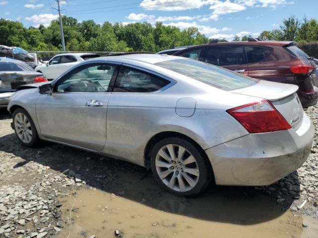 2008 Honda Accord EXL