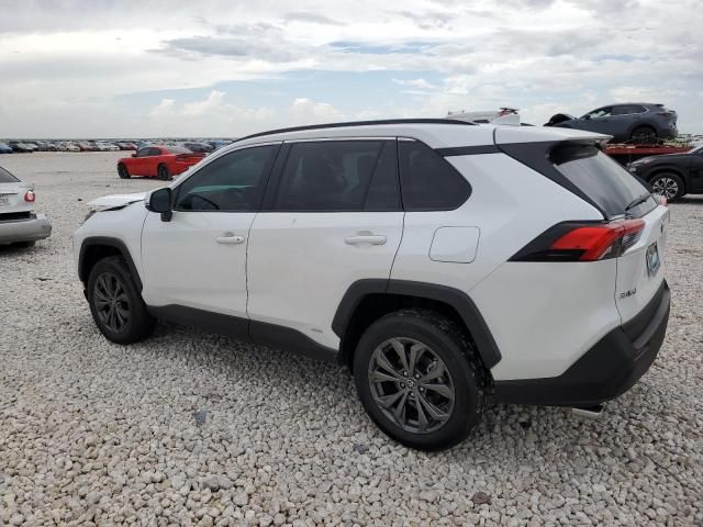 2024 Toyota Rav4 XLE Premium