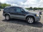 2002 Mazda Tribute LX