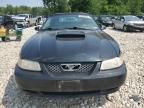 2004 Ford Mustang GT