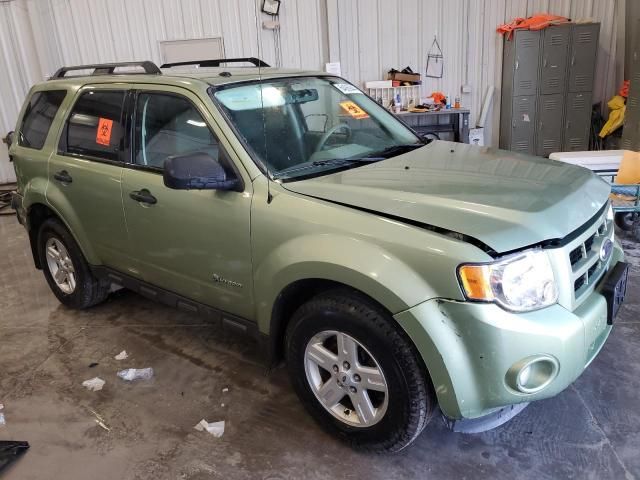 2010 Ford Escape Hybrid