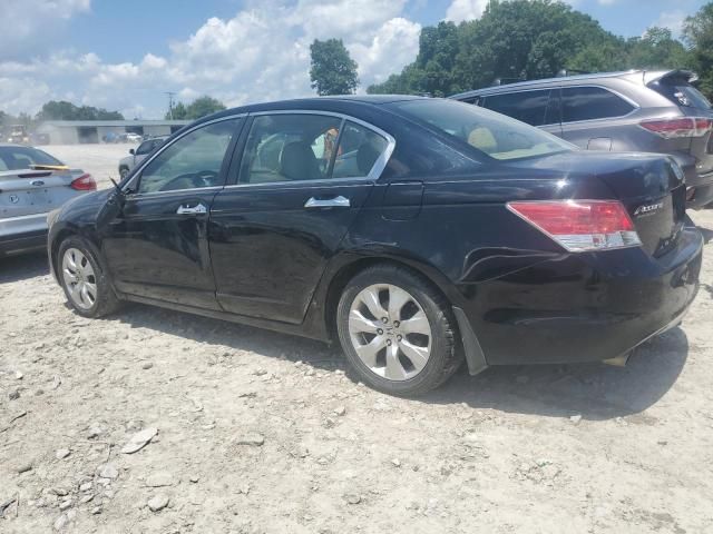 2010 Honda Accord EXL