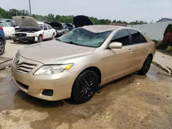 Salvage cars for sale at Louisville, KY auction: 2010 Toyota Camry Base