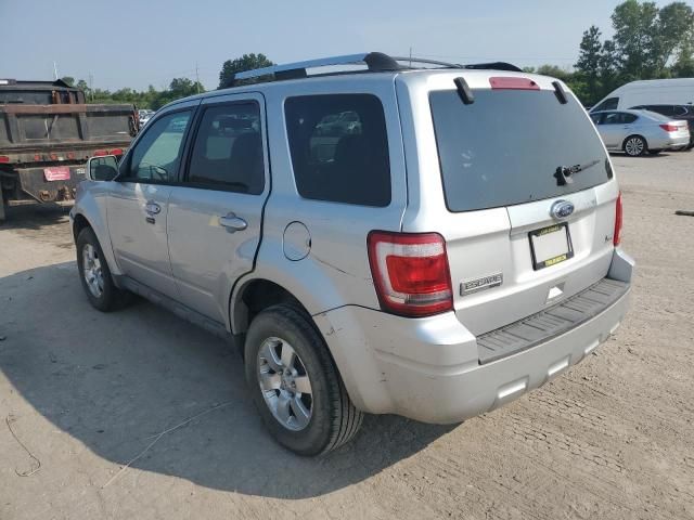 2010 Ford Escape Limited