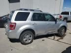 2010 Ford Escape Limited