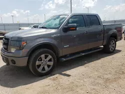 Hail Damaged Cars for sale at auction: 2013 Ford F150 Supercrew