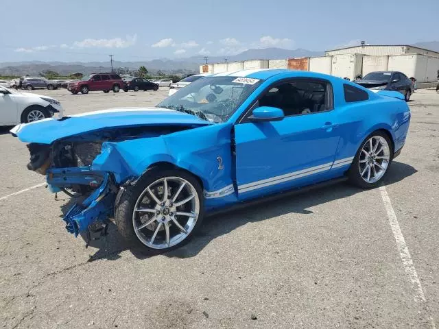 2010 Ford Mustang Shelby GT500