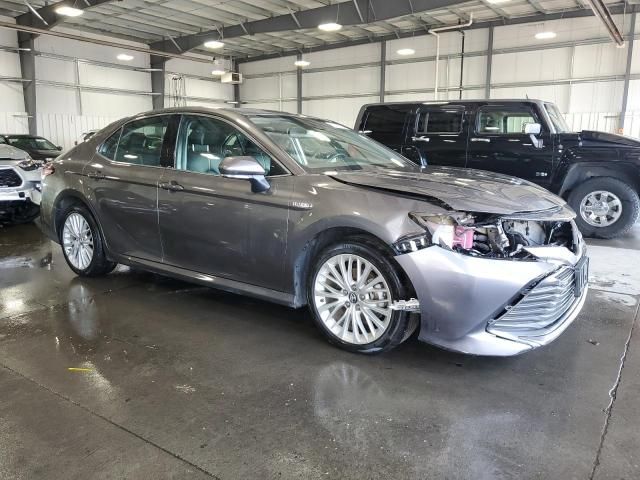 2019 Toyota Camry Hybrid