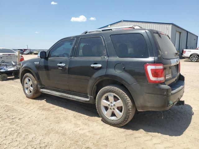 2011 Ford Escape Limited