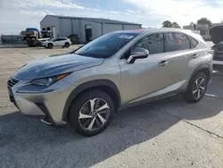 Lexus Vehiculos salvage en venta: 2019 Lexus NX 300 Base