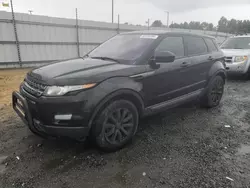 Salvage SUVs for sale at auction: 2014 Land Rover Range Rover Evoque Pure