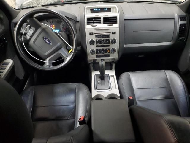 2009 Ford Escape XLT