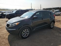 Salvage cars for sale at Colorado Springs, CO auction: 2016 KIA Sportage LX