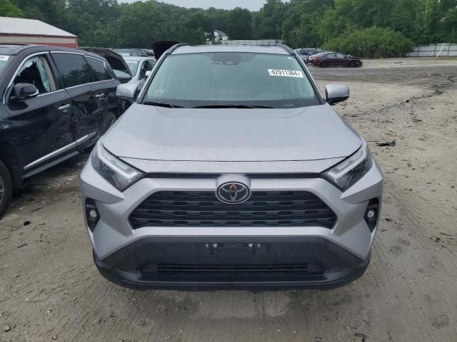 2023 Toyota Rav4 XLE Premium