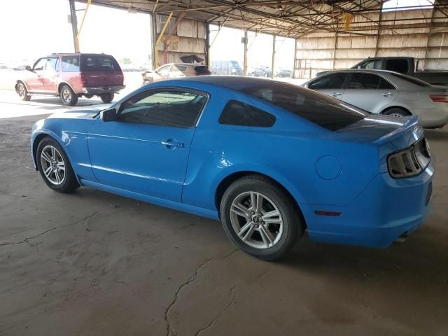 2013 Ford Mustang