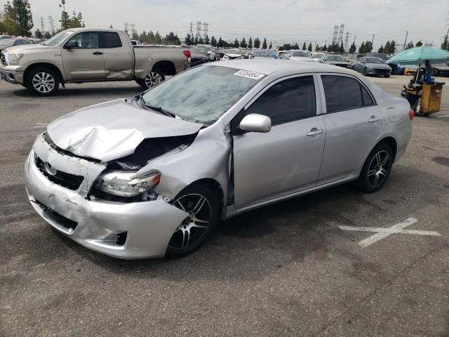 2010 Toyota Corolla Base