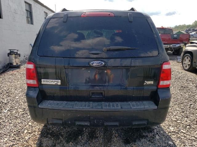 2010 Ford Escape XLT