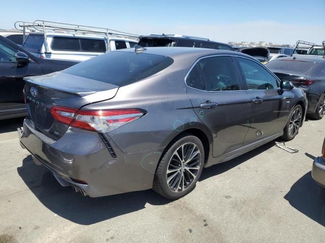 2019 Toyota Camry L