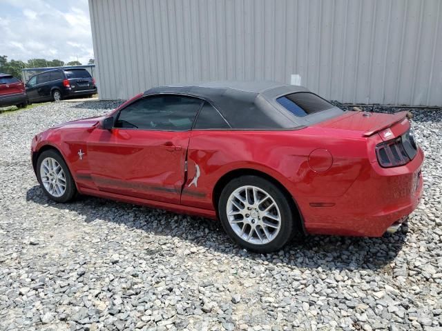 2013 Ford Mustang