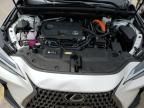 2024 Lexus NX 350H Base