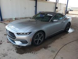 Salvage cars for sale at Phoenix, AZ auction: 2024 Ford Mustang