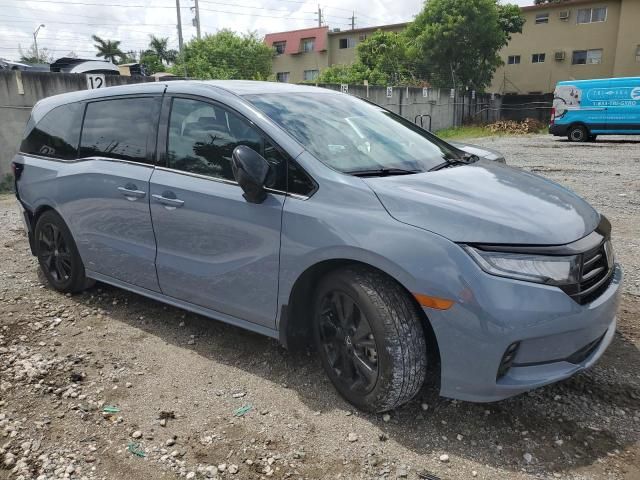 2024 Honda Odyssey Sport