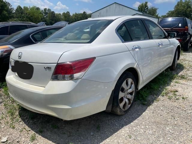 2009 Honda Accord EXL