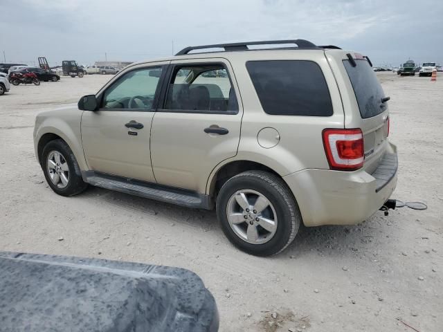 2011 Ford Escape XLT